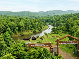 Eturnagaram Wildlife Sanctuary